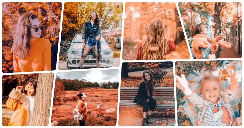 Warm Autumn Lightroom Presets