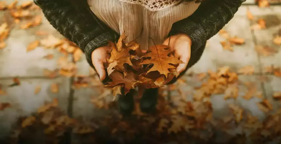 Autumn Mood