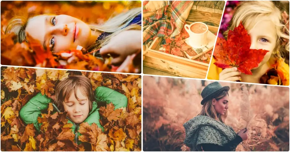 Autumn Summer Preset for Lightroom