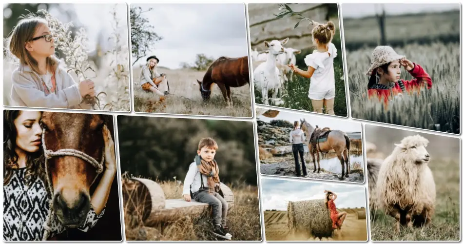 Country Living Presets