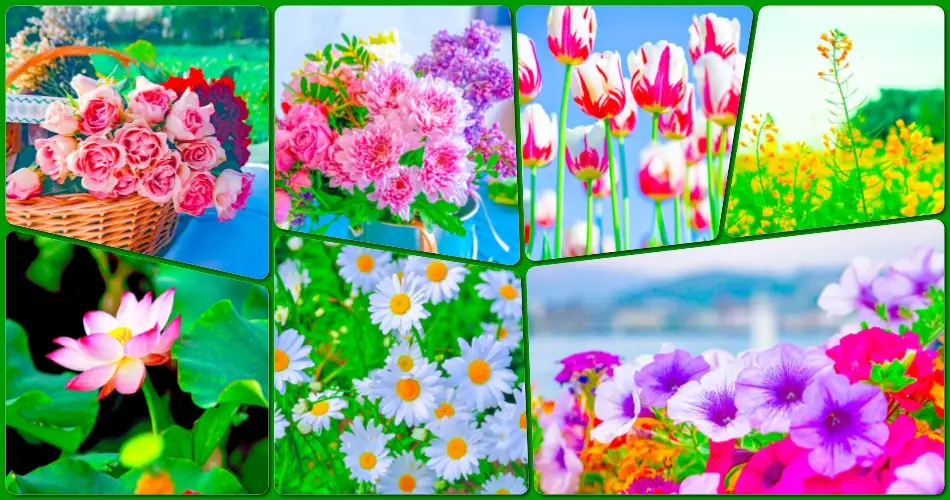 Fresh Flower Presets