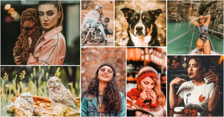 Gold Preset Collection