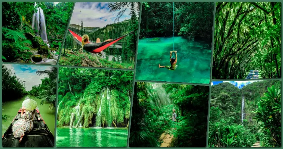 Green Jungle Presets