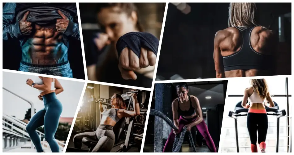 Gym and Fitness Preset