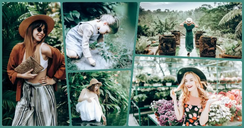 Spring Evergreen Collection