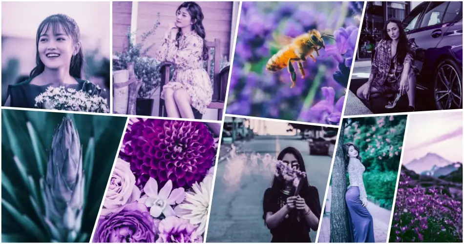Best Violet Lightroom Preset