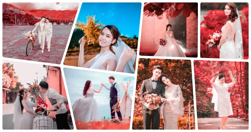 Autumn Wedding Lightroom Presets