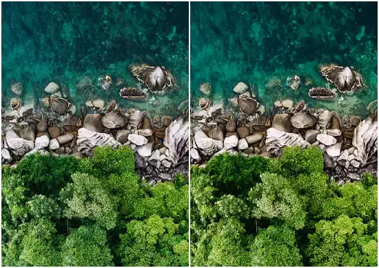 Rocky Beach and Forest