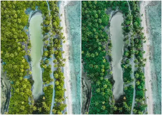 Aerial The Coast Turns Color