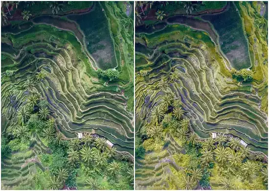 Aerial Mountains and Forests