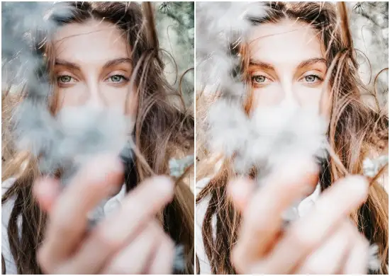 Free Aesthetic Presets Download