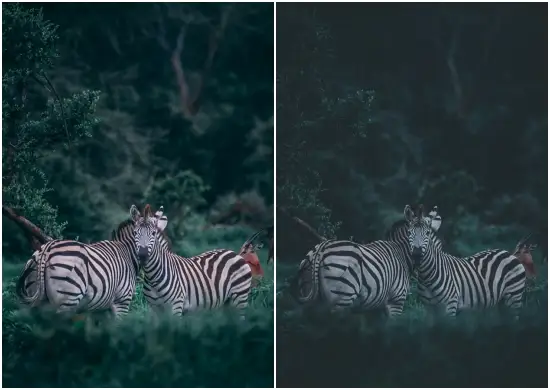 Pet Lightroom Preset