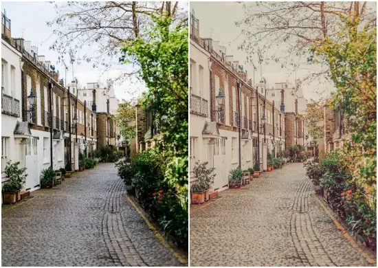 Anime Style Preset DNG