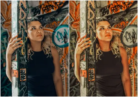 Artsy Warm Tone Preset Free