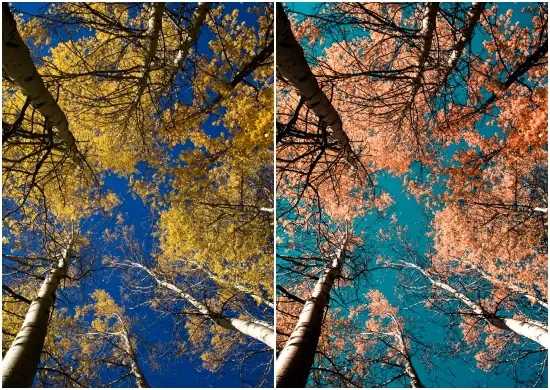Free Aspen Mobile & Desktop Lightroom Preset