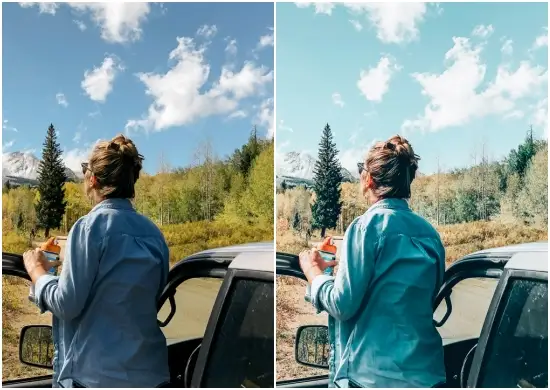 Download Aspen Free Mobile Preset Dng