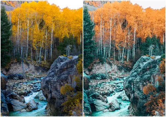 Autumn Blue Tone Aspen Lightroom Preset