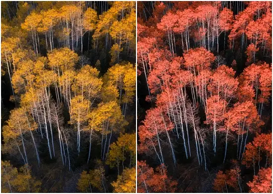 Aspen Red Tone Lightroom Preset