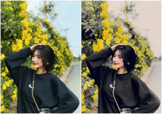 Best Lightroom Film Presets