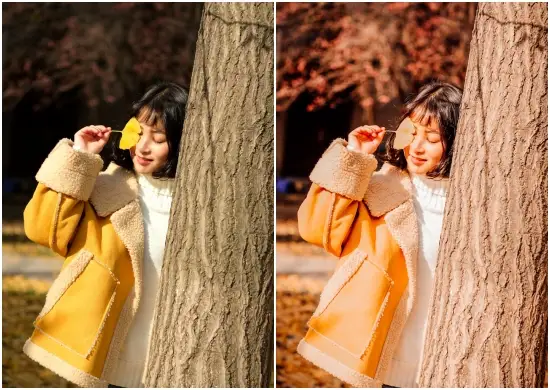 Warm Autumn Lightroom Mobile & Desktop Preset