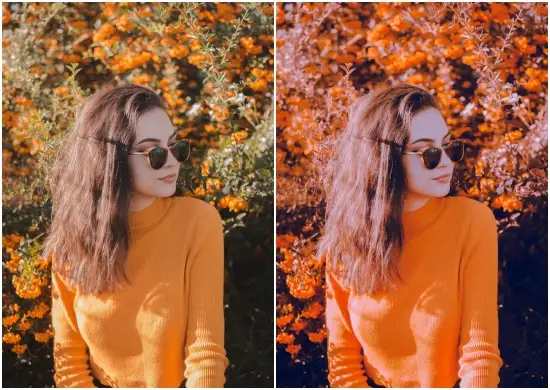 Rustic Autumn Preset Collection Preset