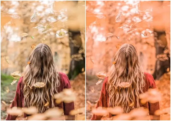 Autumn Beautiful Lightroom Presets