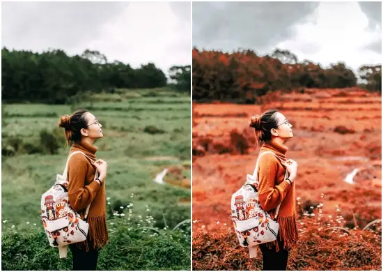 Warm Autumn Collection Presets