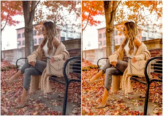 Autumn VSCO Preset Lightroom