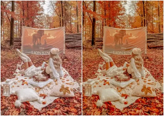 Download Free Warm Outdoor Mobile Preset