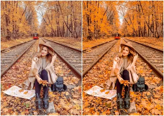 Autumn Lifestyle Preset Free Dng