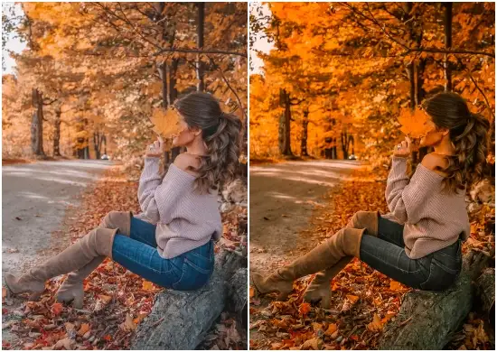 Autumn Blogger Lightroom Preset
