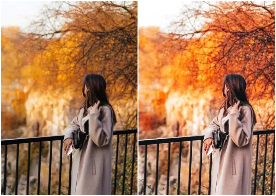 Preset factory autumn collection lightroom Dng