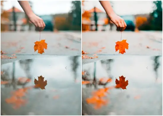 Autumn Preset Collection Dng Download