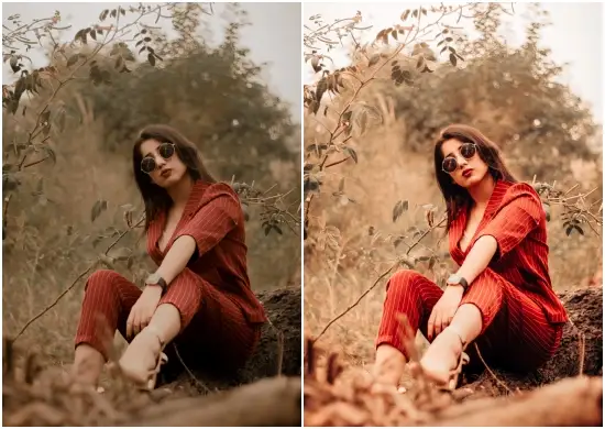 Autumn Preset Collection for Mobile