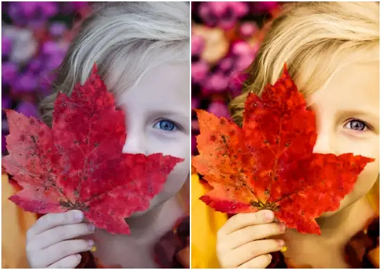 Autumn Girl and Summer Girl