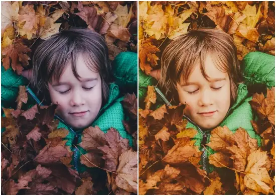 Autumn Summer Preset Free