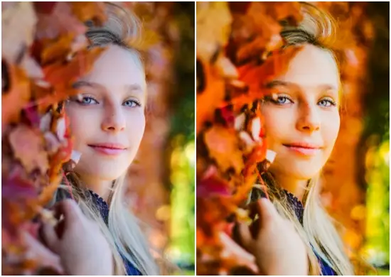  Autumn Photo Presets Free