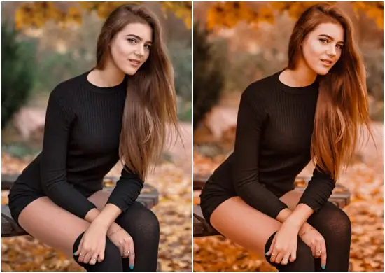 Lightroom preset In Fall Vibes DNG Donwload