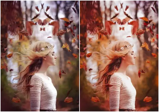 Autumn Vibes High Perfect for bloggers, travel, lifestyle