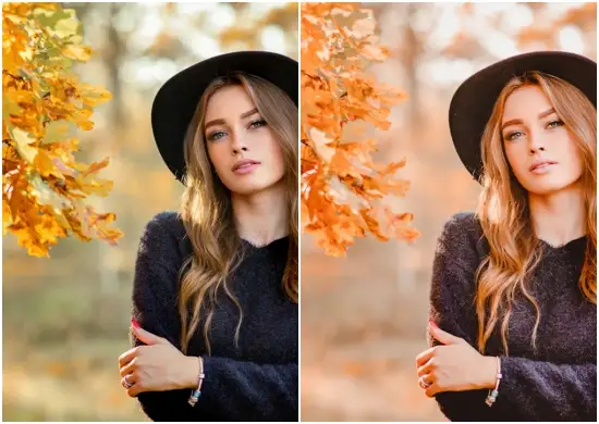 Autumn Vibes Presets for free Lightroom