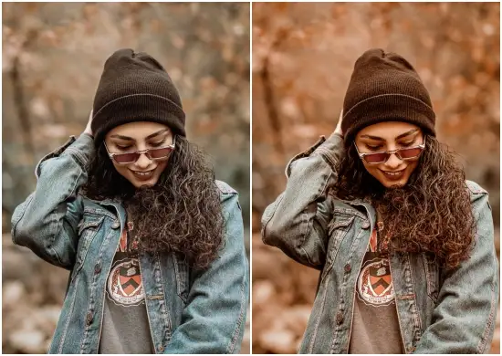 Autumn Vibes Lightroom Presets DNG