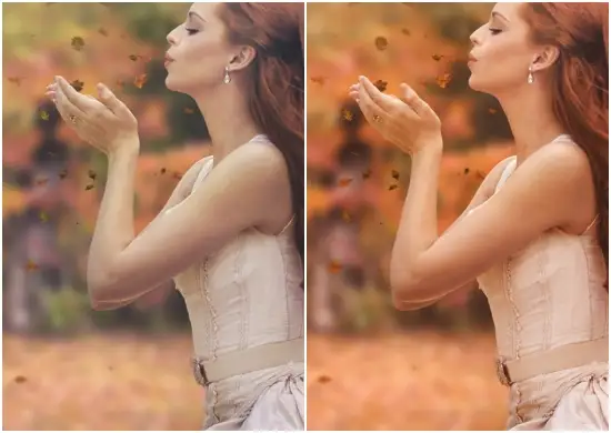 Autumn Vibes Lightroom Presets Download