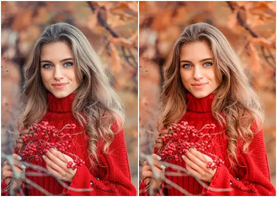 Professional Autumn Vibes Lightroom Presets