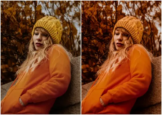 Free Autumn Vibes Lightroom Mobile Presets DNG