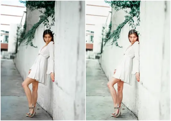 Avocado DNG Preset Lightroom