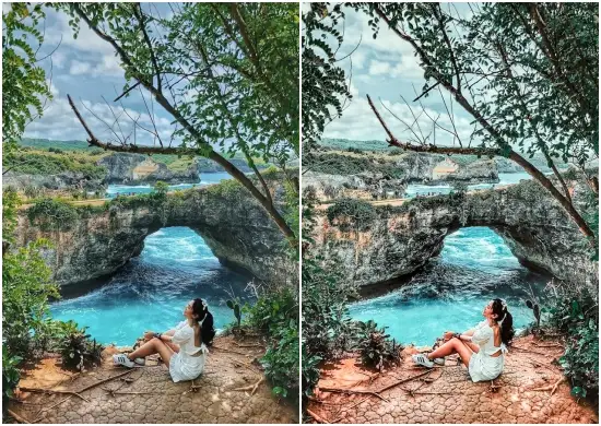 Jungle Bali Lightroom Mobile Presets