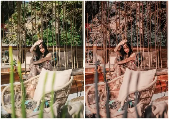 Download Bali Preset Dng