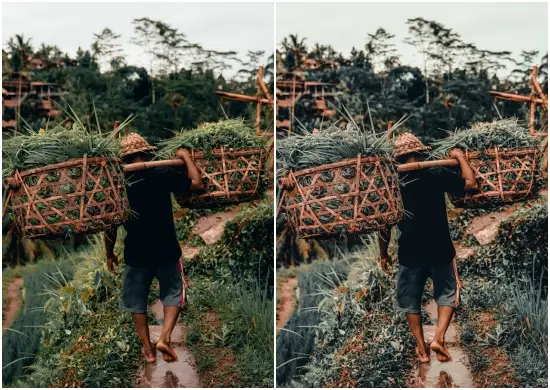 Bali Mobile Lightroom Presets Download