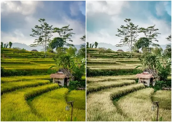 Bali Presets DNG