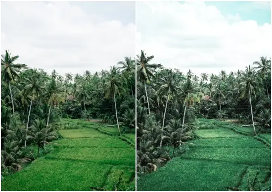Bali Preset Pack